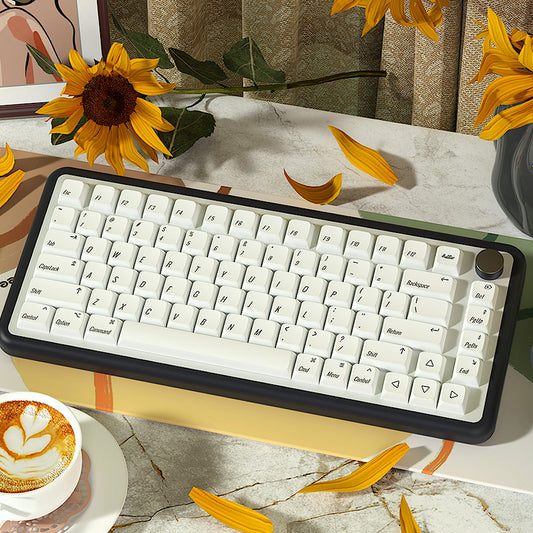 Minimalist White Keycaps Set, XDA Keycaps for Mechanical Keyboards, Sleek & Simple White Keycaps